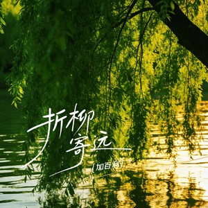 折柳寄远
