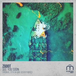 See You Soon (DTALM Remix)