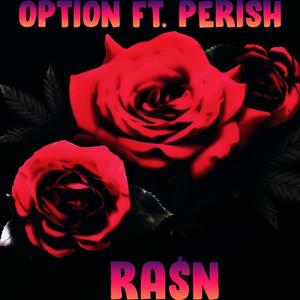 Option (Explicit)