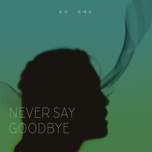 네버세이굿바이 (Never Say Goodbye) (永远不说再见(Never Say Goodbye))