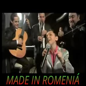 Made in Romeniá (Sahmiir Officiall Remix) [Explicit]