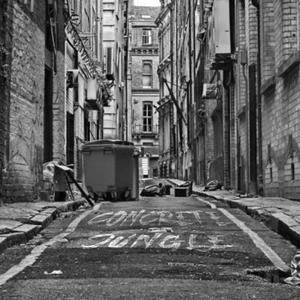 Concrete Jungle. (feat. Roisin Kearney & Jade Augis) (Radio Edit)