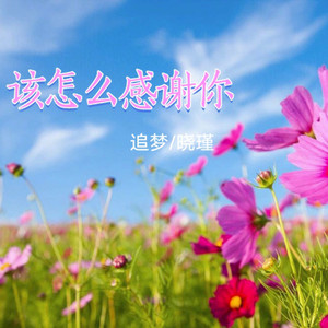 该怎么感谢你 (DJ月之歌版)