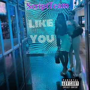 Like You (feat. Script Team) (Explicit)