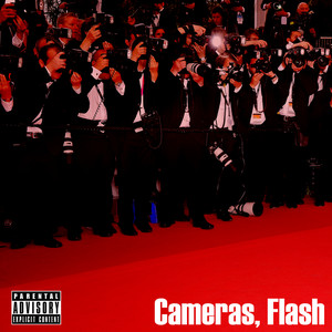 Cameras, Flash (Explicit)