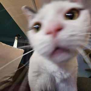 White Sweater 2024 (Explicit)