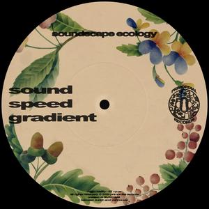 Sound Speed Gradient - Soundscape Ecology