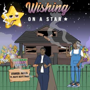 WISHING ON A STAR (FEAT. WAVY NAVY POOH) (Explicit)