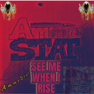 See Me When I Rise (Aligned Strays) (Explicit)