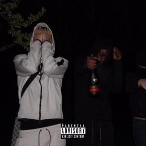 PUT IN THE LAKE (feat. mrwalkemdown) (Explicit)