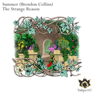 The Strange Reason (Original Mix)