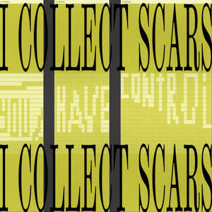 I Collect Scars