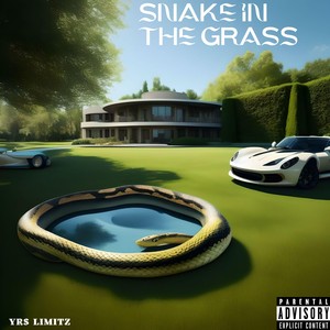 Snake In The Grass (Explicit)