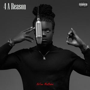 4 A Reason (Explicit)