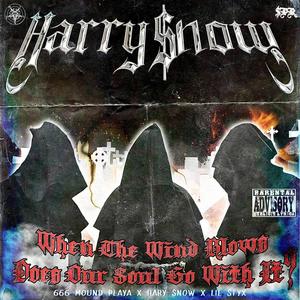 WHEN THE WIND BLOWS DOES OUR SOUL GO WITH IT (Explicit)