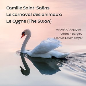 Le carnaval des animaux: ics 36. 7. le cygne (arr. for clarinet and marimba)