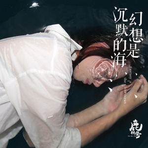 幻想是沉默的海