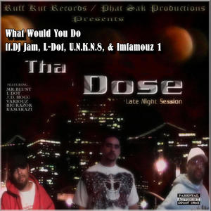 What Would You Do (feat. DJ Jam, L-Dot, U.N.K.N.8 & Imfamouz 1) (Explicit)