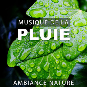 Musique de la pluie: Ambiance nature - La guérison de l'eau, Musiques relaxantes, Zen chillout (101 Minutes)