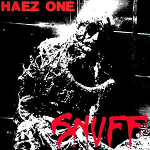 Sinus (feat. Haez One) [Explicit]