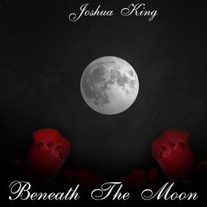 Beneath The Moon