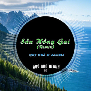 Sầu Hồng Gai (Quý Nhỏ Remix)