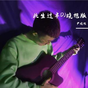 此生过半 (DJ晓旭版)