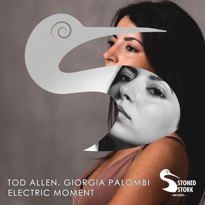 Electric Moment (Original Mix)