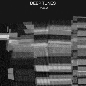 Deep Tunes, Vol. 2