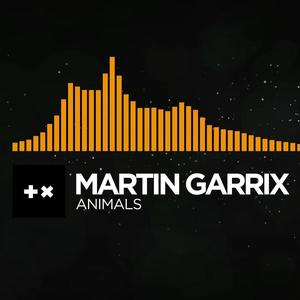 Martin Garrix mash up