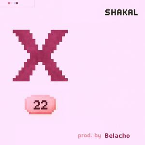 Privileg (feat. Belacho) (Explicit)