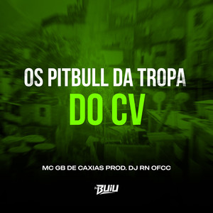 Os Pitbull da Tropa do CV (Explicit)