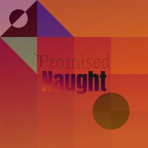 Promised Naught