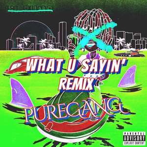 *** ****-What U Sayin' (Remix|PureGANG Remix)