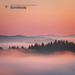 Somebody
