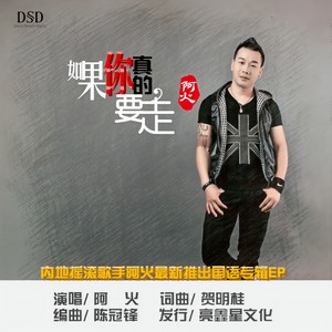 如果你真的要走 (Remix)