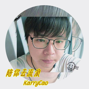 陪你去流浪