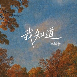 我知道 (R&B版)封面