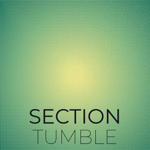 Section Tumble