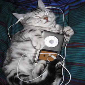 head full of lies (feat. osoarin) (Explicit)