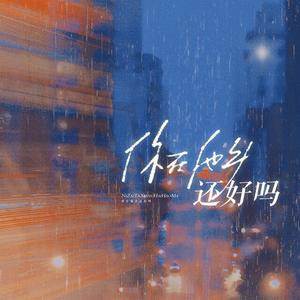 你在他乡还好吗 ——电视剧《我在他乡挺好的》原创同人曲