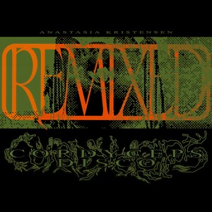 Irregularity (Christian Coiffure Remix)