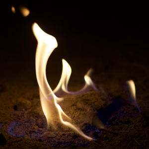 Praise his name (feat. KOU!!!)