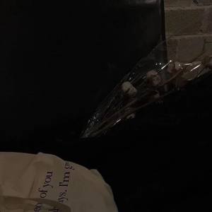 不懂事 (唱鸭版)