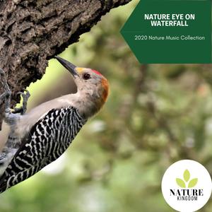 Nature Eye on Waterfall - 2020 Nature Music Collection