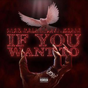 If You Want To (feat. Levar Fletcher Aka Boy Big & Sheisty Po) [Explicit]