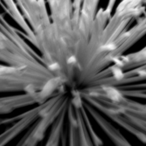 SEA SPARKLE (feat. HUNJIYA, 최준희)