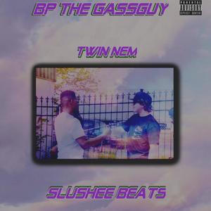 TWIN NEM (Explicit)