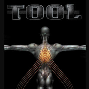 TOOL (No quarter)