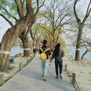 所爱